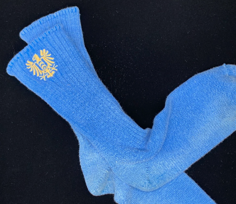 embroidered sock